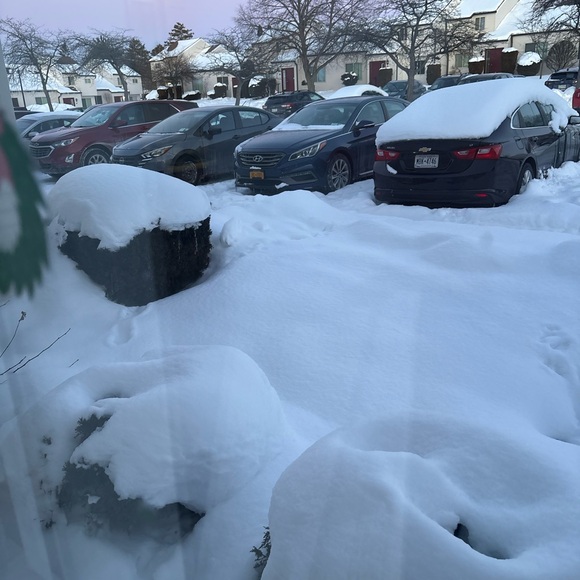 Shipping label - Picture 1 of 1